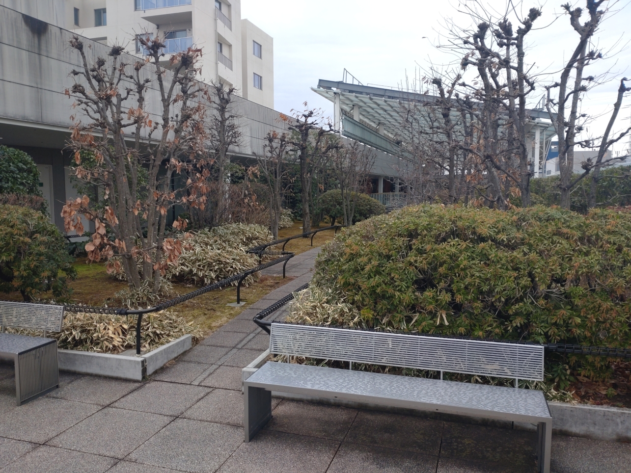 成城コルティの庭園