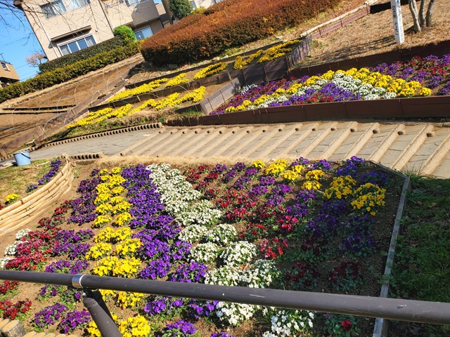 住宅街にある自然豊かな公園♪【相武台前】