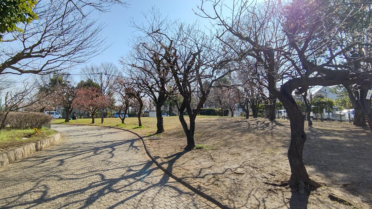 ☆おすすめスポット～羽根木公園～羽根木☆