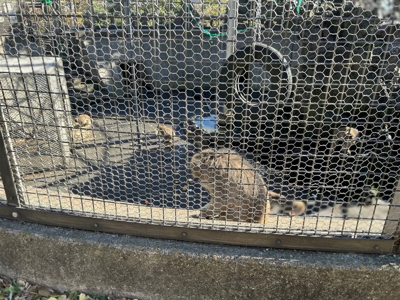 お花見シーズンは桜が綺麗な見晴らし公園　逗子（披露山公園）