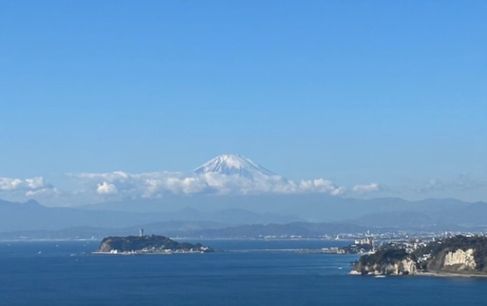 お花見シーズンは桜が綺麗な見晴らし公園　逗子（披露山公園）