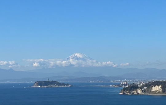 お花見シーズンは桜が綺麗な見晴らし公園　逗子（披露山公園）