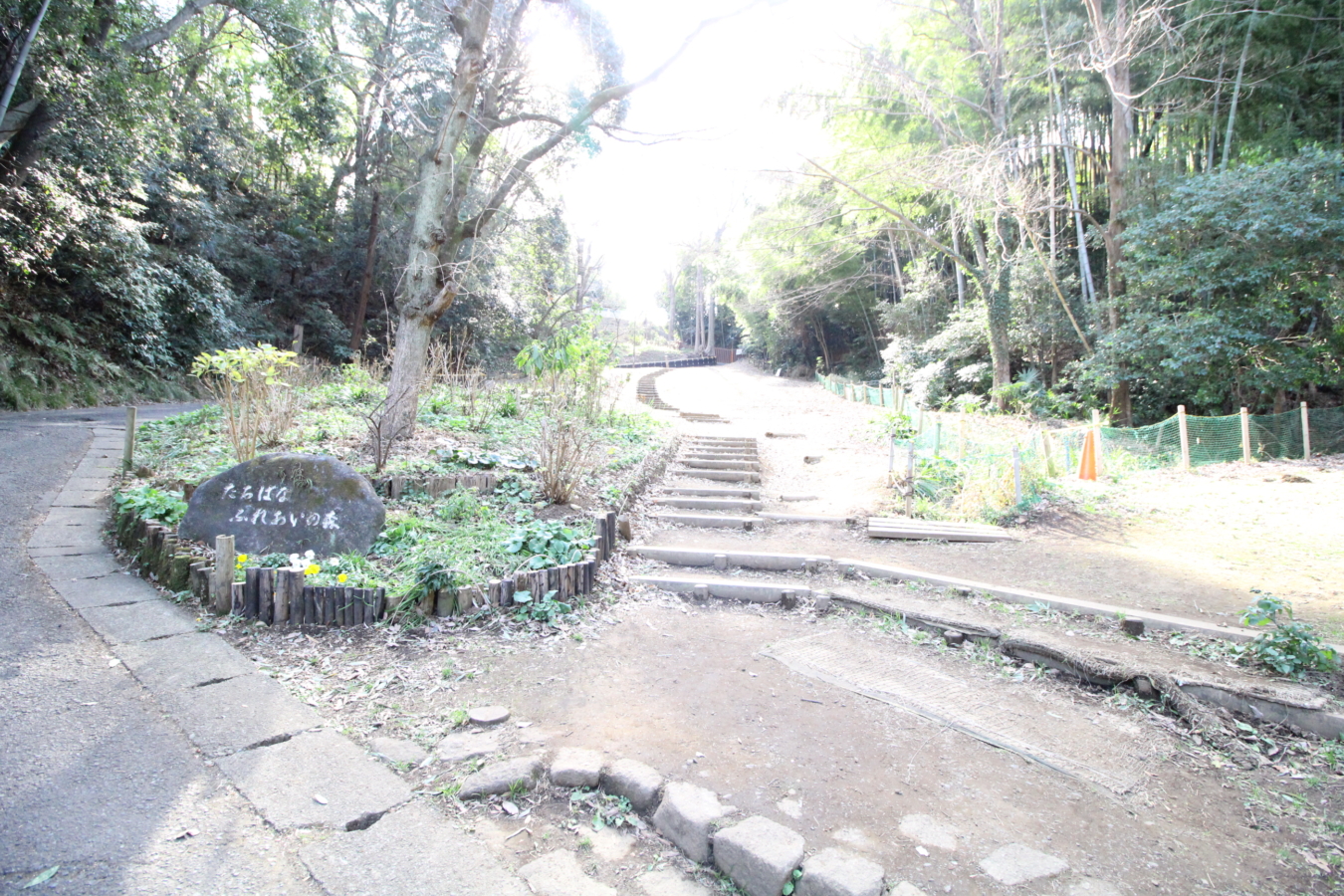 たちばなふれあいの森（高津区野川）