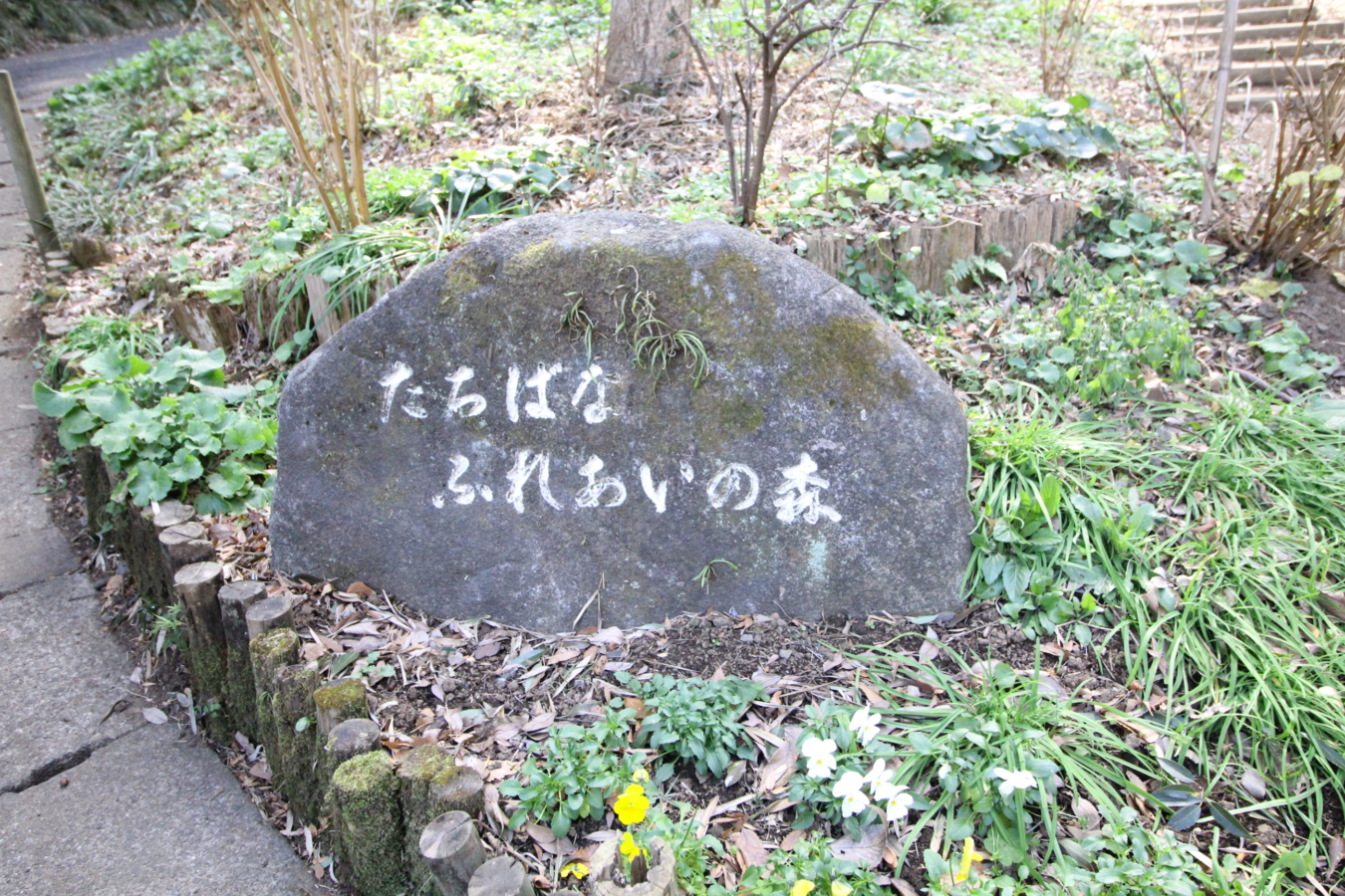 たちばなふれあいの森（高津区野川）