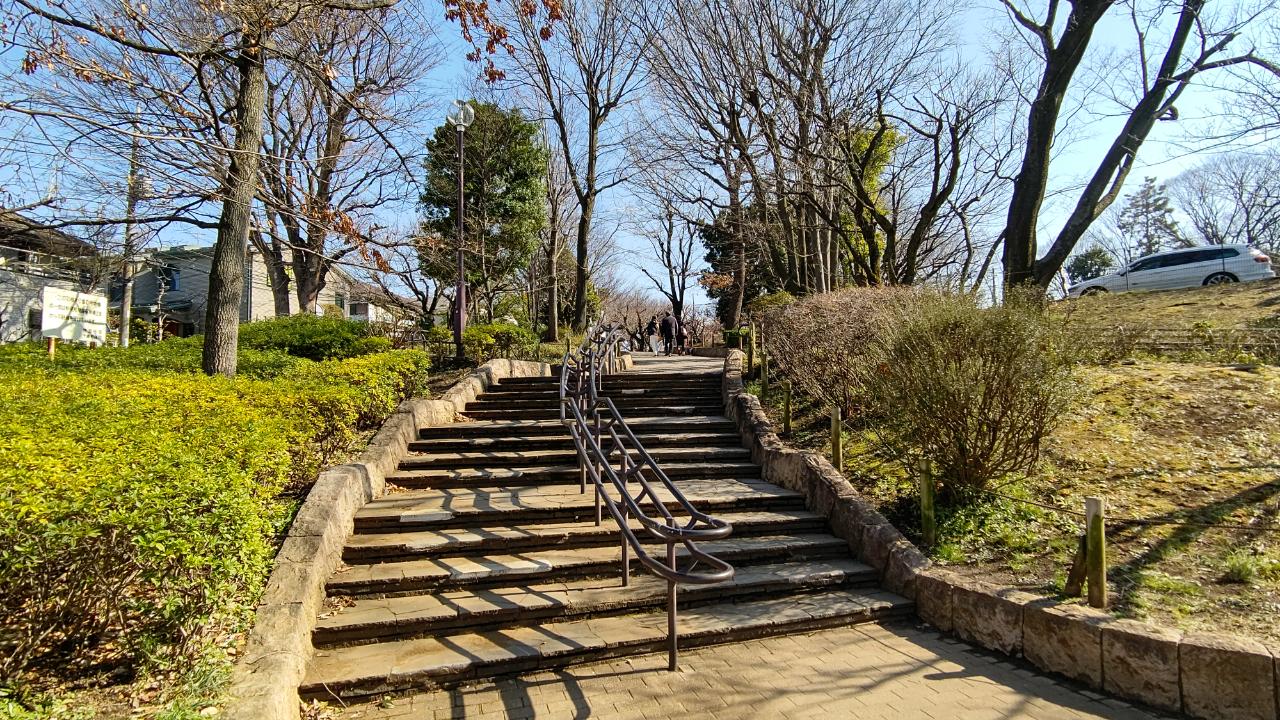 ☆おすすめスポット～羽根木公園～羽根木☆