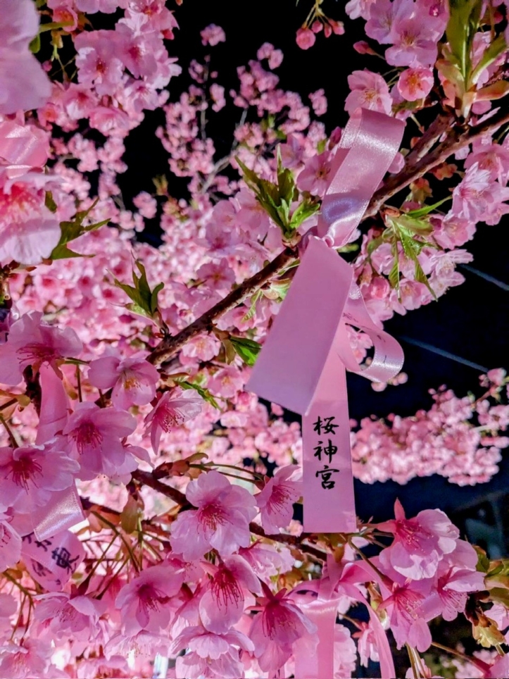 桜神宮