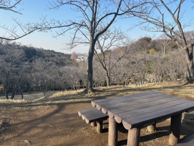 自然散策、お子様の遊び場、市電もあります！遠足でもおなじみの公園（久良岐公園）