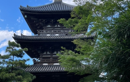 国指定名勝『三渓園』は日本の古建築と自然とが調和された芸術的な日本庭園です。