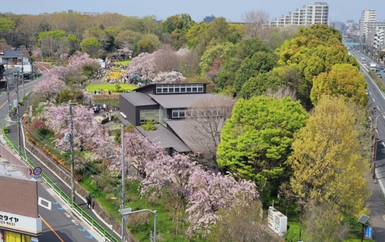 春の芦花公園☆