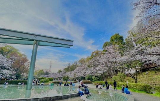 ☆町田では自然を楽しめちゃいます☆