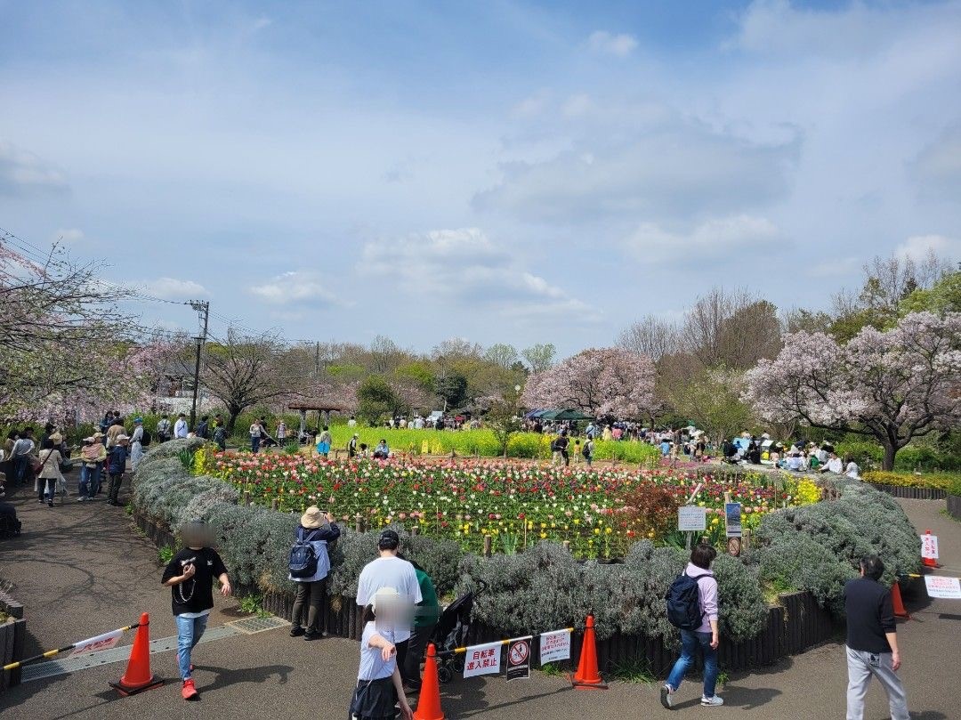 春の芦花公園☆