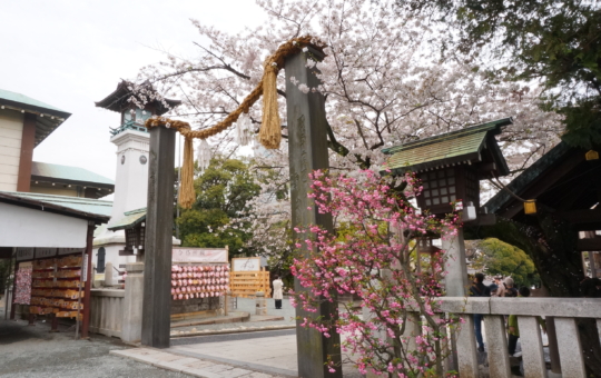 人生儀礼の晴れ舞台としても重宝される『伊勢山皇大神宮』桜が門出を祝ってくれそうです