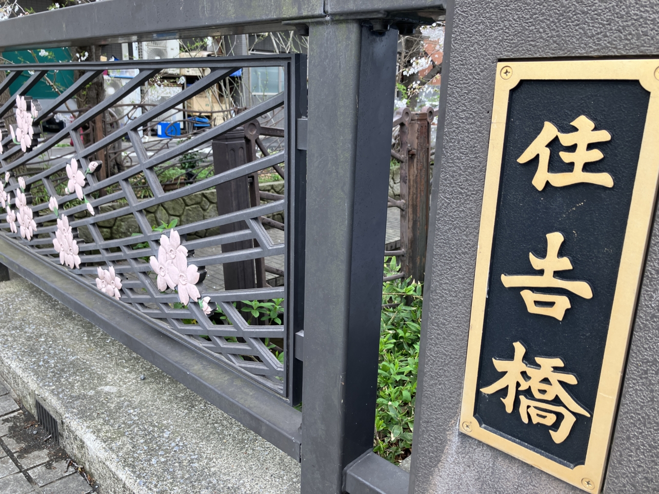 満開の桜🌸（住吉橋）