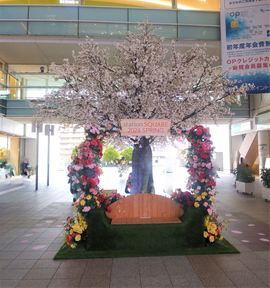 相模大野に春が訪れました🌸