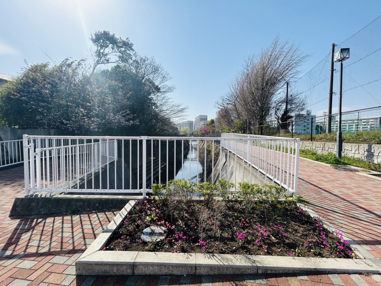 当社管理物件「プルミエ柏陽」周辺　川沿いの遊歩道（栄区柏陽）