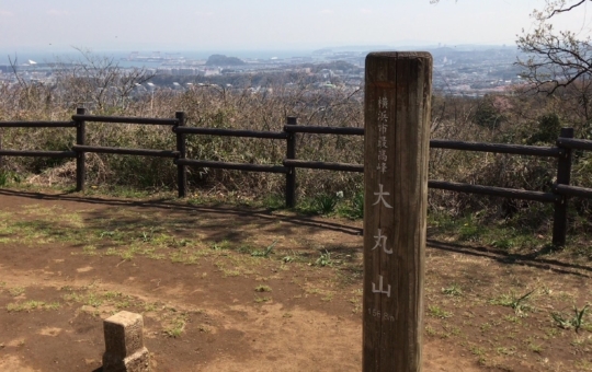 大岡川の源流、遠足の定番！氷取沢市民の森（円海山）