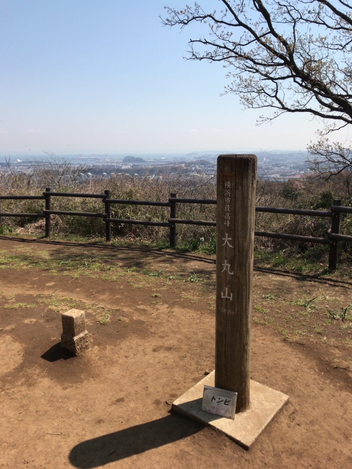 大岡川の源流、遠足の定番！氷取沢市民の森（円海山）