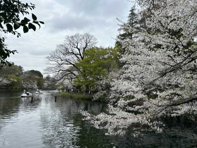 花より団子？！