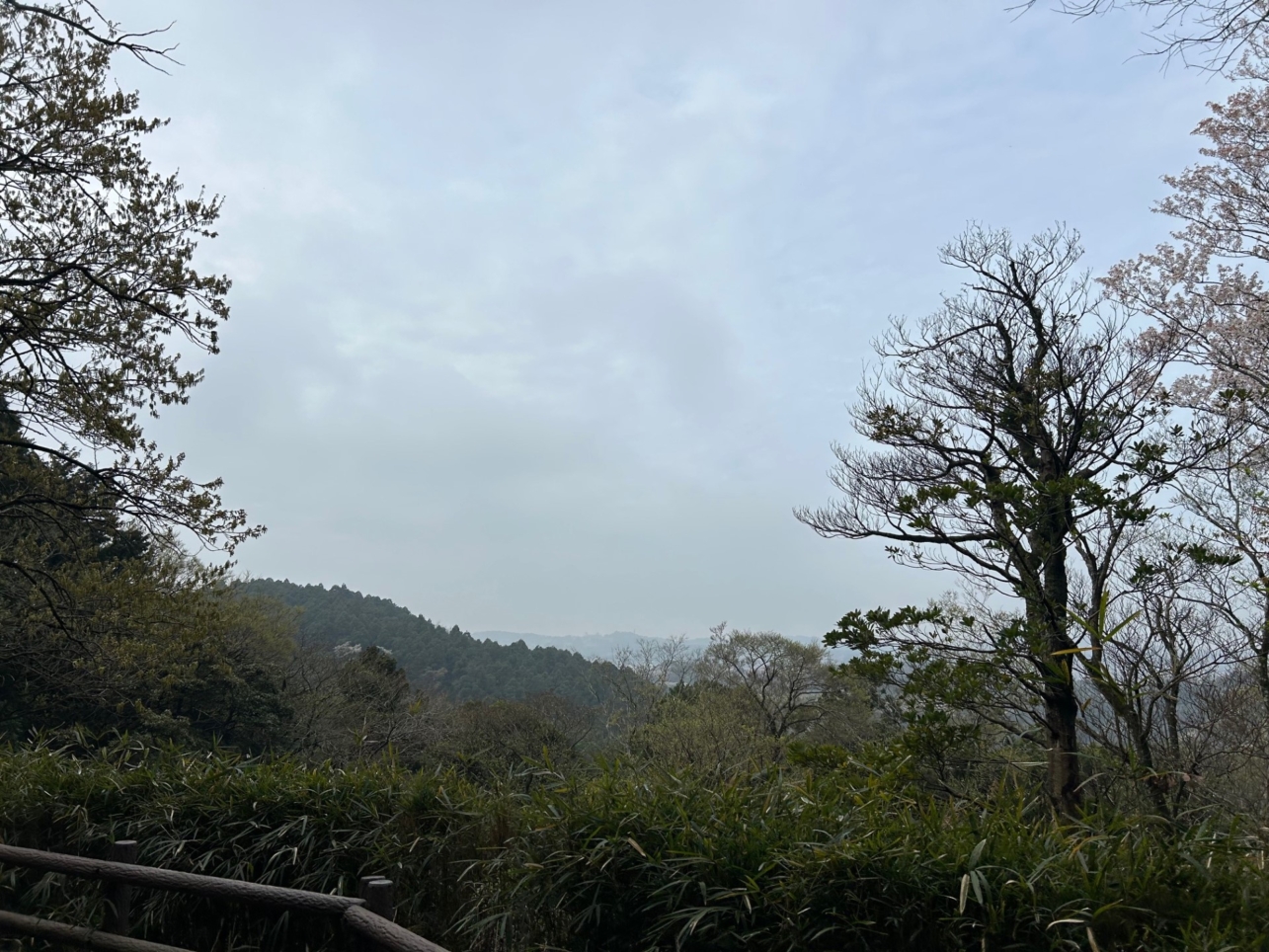 大岡川の源流、遠足の定番！氷取沢市民の森（円海山）