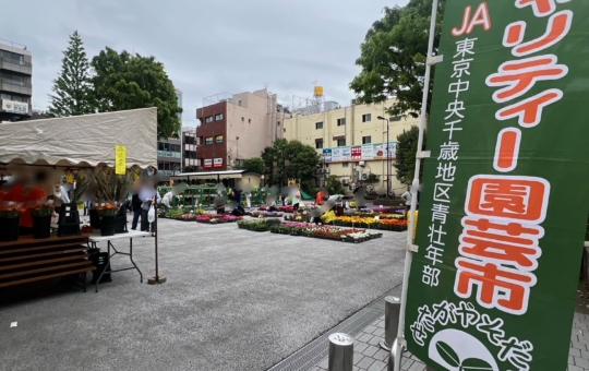 ☆チャリティー園芸市🥬🌼