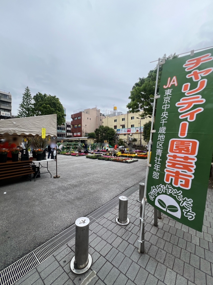 ☆チャリティー園芸市🥬🌼