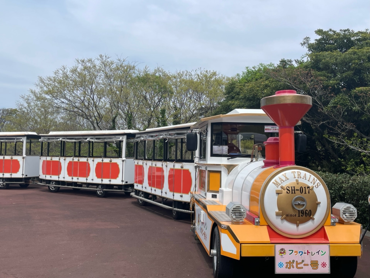 横浜駅より1時間で花の国『くりはま花の国』都会の喧騒を離れてゆったり