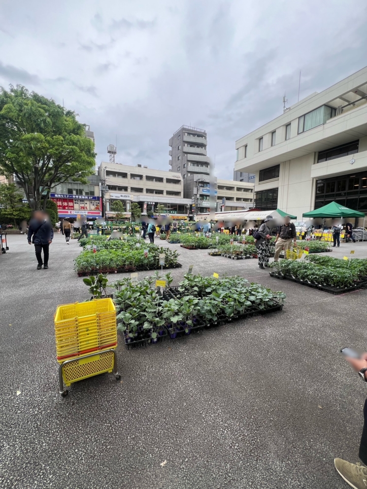 ☆チャリティー園芸市🥬🌼