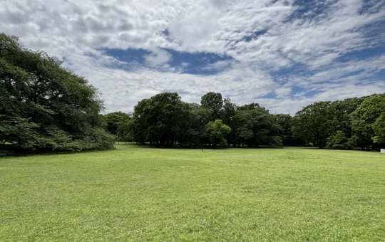 都内で自然に癒される【都立砧公園】