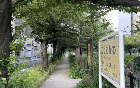 【多摩センター】みんなの憩いの場、乞田川