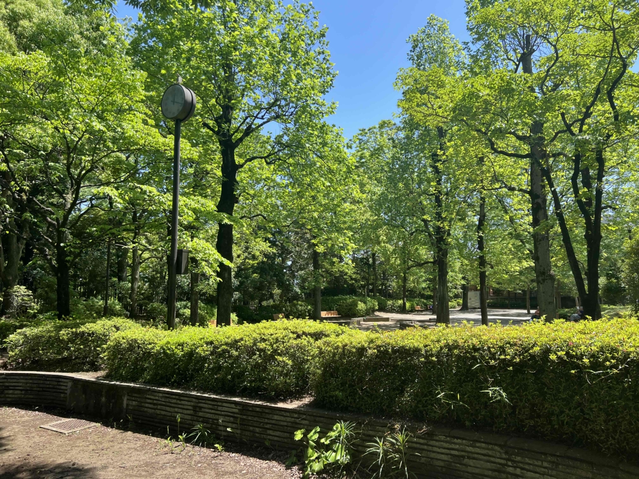 ☆殿ヶ谷庭園☆（国分寺駅）