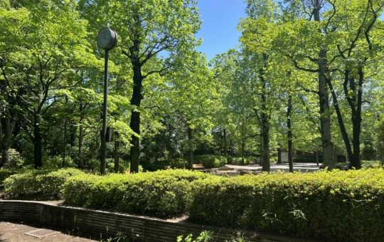 ☆殿ヶ谷庭園☆（国分寺駅）