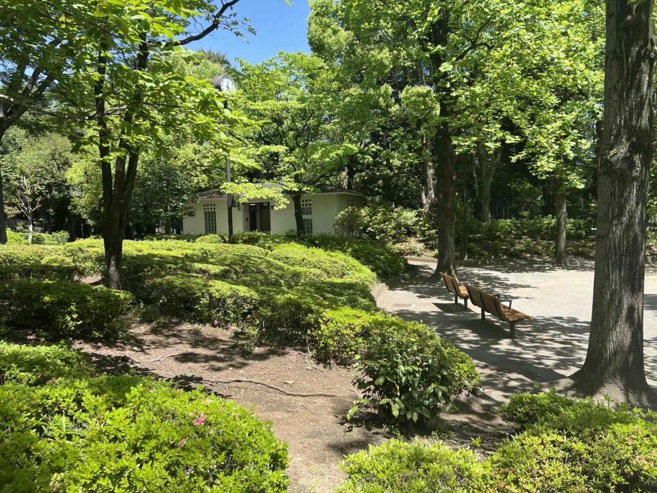 ☆殿ヶ谷庭園☆（国分寺駅）