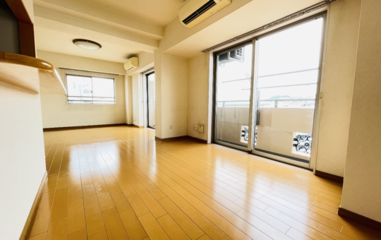 最上階、角部屋1SLDK（プリエール・コート 702）