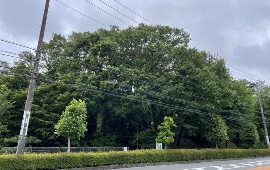 【多摩境】天井知らずの住みやすさ♪