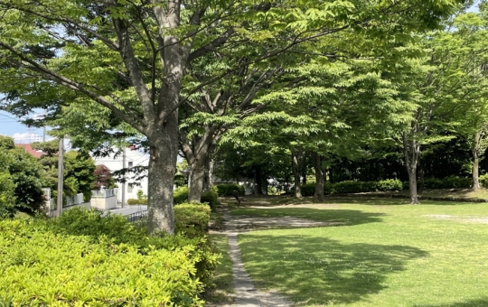 みんなの癒しの場☆唐木田公園☆