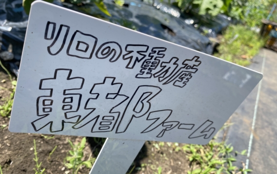 東都シェア畑プロジェクト”初収穫”