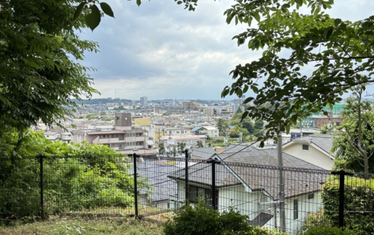 住宅街にある森【成城三丁目緑地】