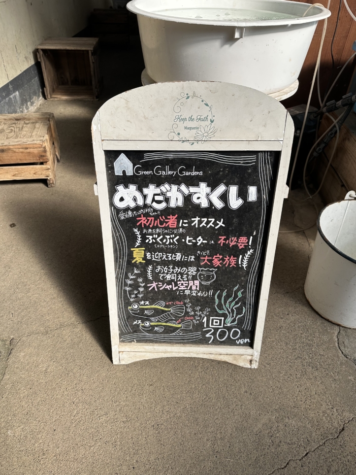 【聖蹟桜ヶ丘 スポット】創業100年を超える吉田鑑賞魚店／吉田観賞魚店