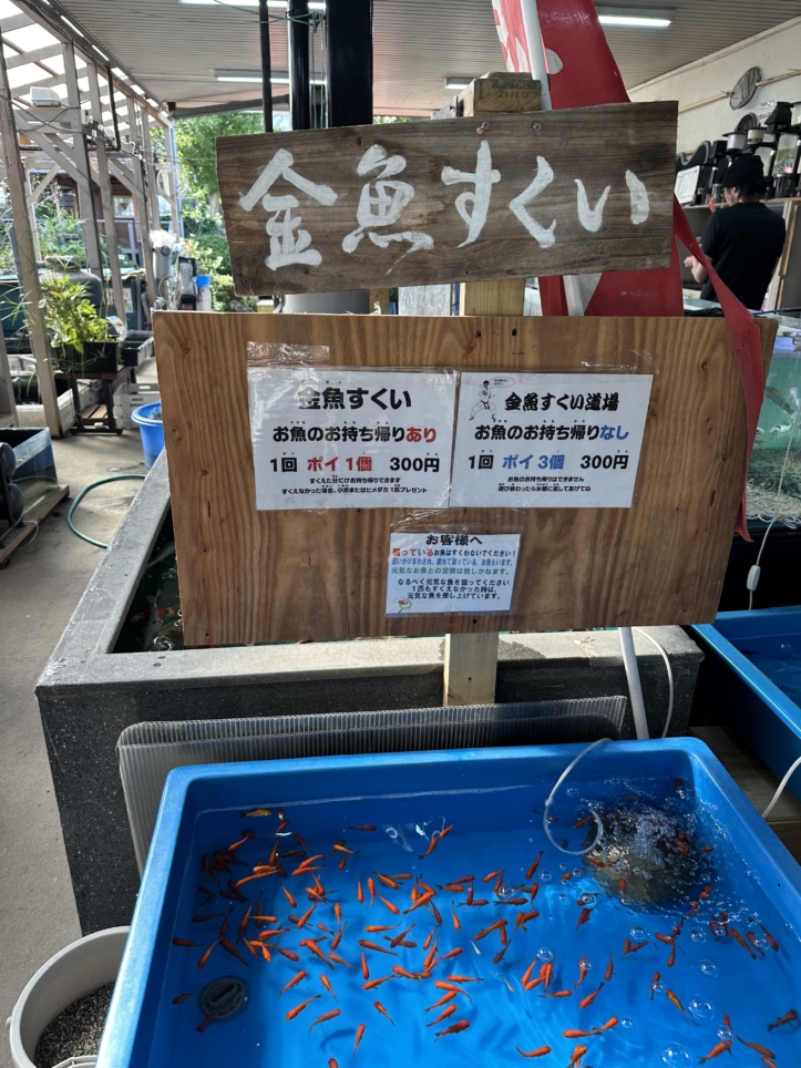 【聖蹟桜ヶ丘 スポット】創業100年を超える吉田鑑賞魚店／吉田観賞魚店