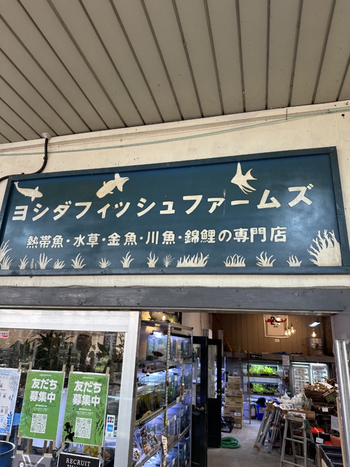 【聖蹟桜ヶ丘 スポット】創業100年を超える吉田鑑賞魚店／吉田観賞魚店