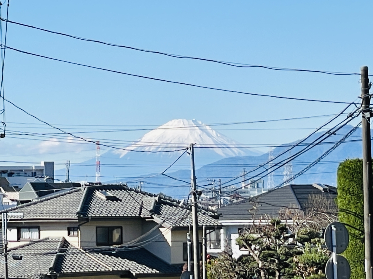 【万騎が原から臨む富士山】