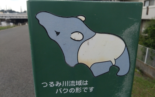 鶴見川のひみつ？！