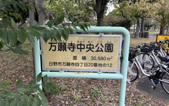 みんなの遊び場！万願寺中央公園☆