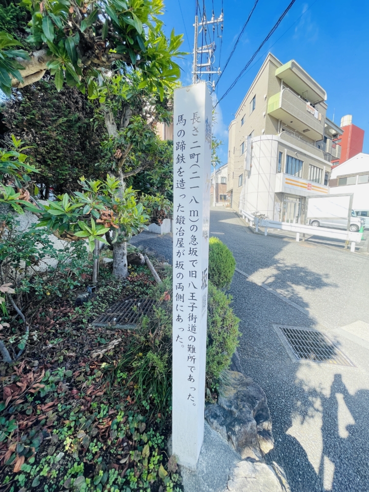 【鶴ヶ峰坂】 眺めが美しい、静かな坂道の散歩道 🏞️🚶‍♂️
