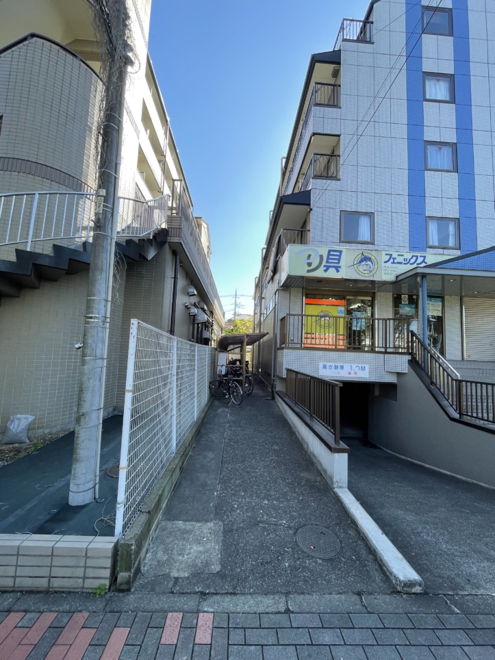 皆様、釣りを楽しみましょうか☆フェニックスつり具店☆