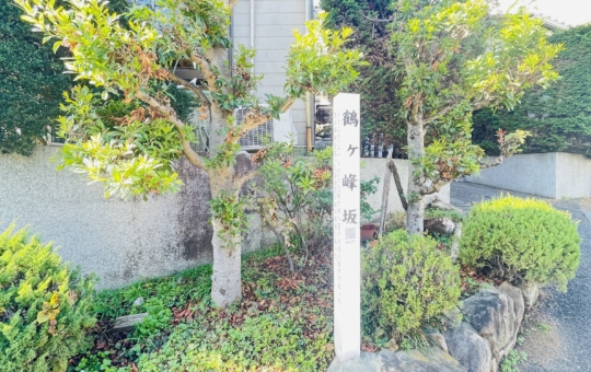【鶴ヶ峰坂】 眺めが美しい、静かな坂道の散歩道 🏞️🚶‍♂️