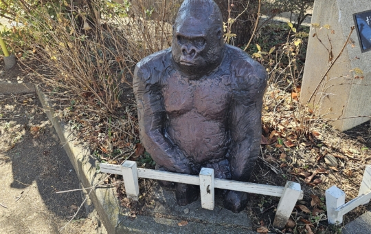 ウホウホ　ゴリラ公園🦍！？