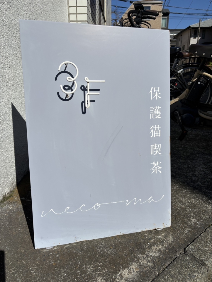 癒されます【保護猫喫茶 necoma】