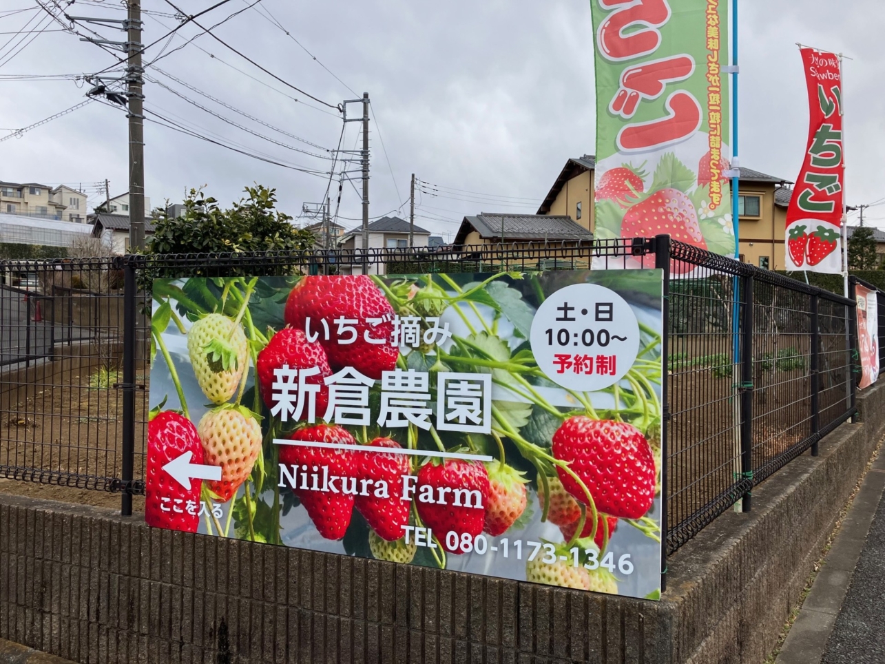 いちごの美味しい季節ですね　【新倉農園】