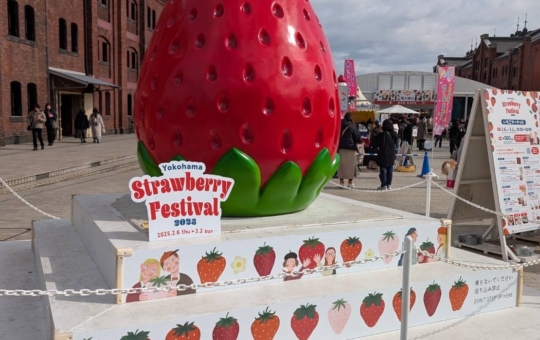いちごマーケット開催中🍓横浜赤レンガ倉庫
